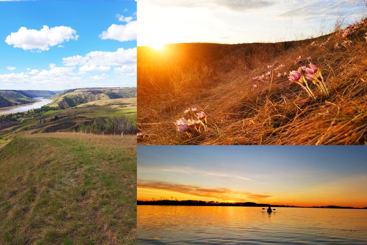 Beautiful Peace Country Landscape